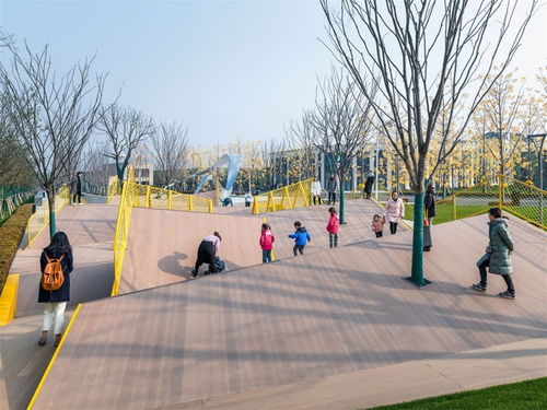 從設(shè)計到實景 公共環(huán)境園林景觀的全流程解析與行業(yè)交流平臺